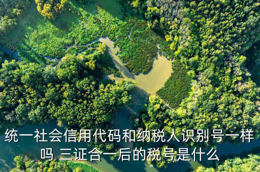 無(wú)證合一后稅號(hào)是什么意思，五證合一之后怎么查看稅號(hào)
