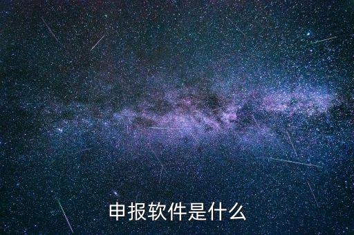 國稅申報軟件叫什么，申報軟件是什么
