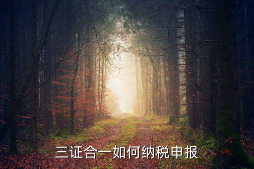 三證合一用什么報(bào)稅，三證合一如何納稅申報(bào)