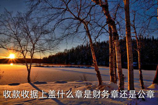 收款收據(jù)上蓋什么章是財務章還是公章