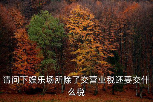 娛樂業(yè)交什么稅，請(qǐng)問下娛樂場所除了交營業(yè)稅還要交什么稅