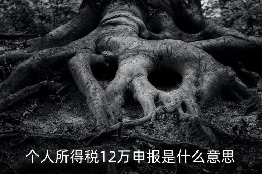 申報(bào)個稅是什么意思，12萬以上個人所得稅申報(bào)是什么意思