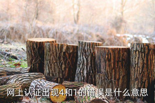 認證發(fā)票4是什么問題，認證發(fā)票通常會碰到哪些問題