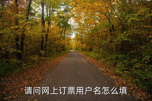 預(yù)約發(fā)票用戶(hù)名是什么，開(kāi)票客戶(hù)名稱(chēng)是指