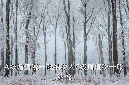 B級(jí)納稅人有什么影響，稅局把公司b級(jí)降到c級(jí)有什么影響嗎