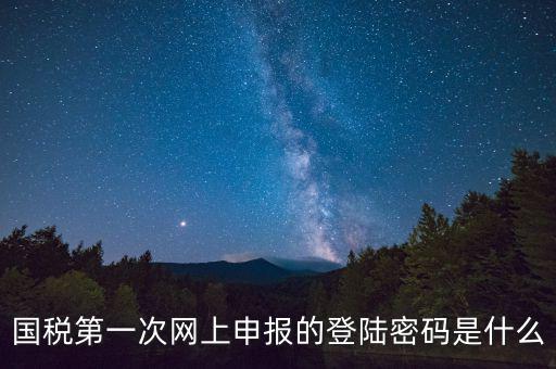 國稅登錄賬號密碼是什么意思，國稅第一次網(wǎng)上申報的登陸密碼是什么