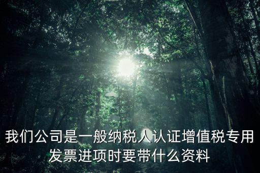 我們公司是一般納稅人認(rèn)證增值稅專用發(fā)票進(jìn)項(xiàng)時要帶什么資料