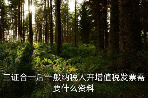 三證合一后刻發(fā)票章需要帶什么資料，三證合一后刻發(fā)票章需要提供什么資料