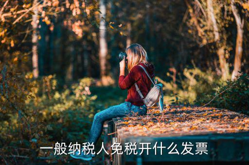 一般納稅人領(lǐng)什么票，一般納稅人免稅開什么發(fā)票
