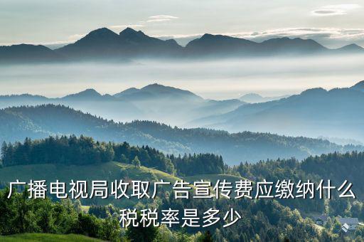 電視臺宣傳合同繳納什么印花稅，廣播電視局收取廣告宣傳費(fèi)應(yīng)繳納什么稅稅率是多少