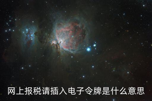 報稅數(shù)字證書口令是什么意思，網上報稅請插入電子令牌是什么意思