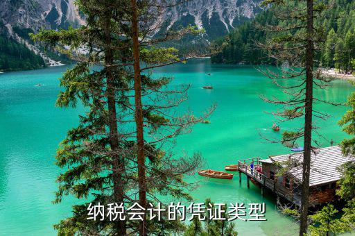 應(yīng)納稅憑證種類是什么意思，總賬里關(guān)于記賬憑證的種類和號數(shù)是什么意思