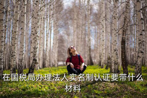 實名認證稅務(wù)需要什么資料，在國稅局辦理法人實名制認證要帶什么材料