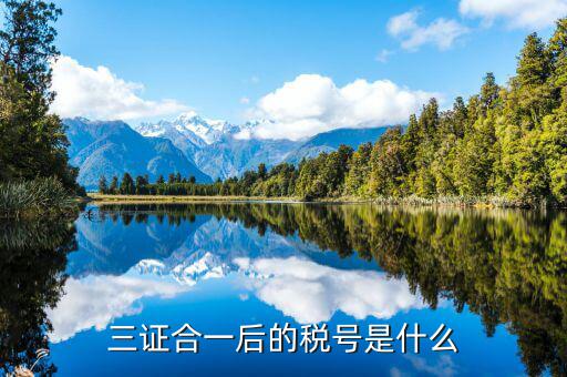 無證合一后稅號(hào)是什么，統(tǒng)一社會(huì)信用代碼和納稅人識(shí)別號(hào)一樣嗎 三證合一后的稅號(hào)是什么