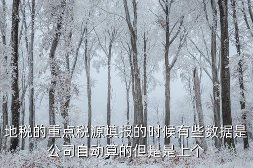 為什么重點(diǎn)稅源是上個(gè)月的數(shù)據(jù)，地稅的重點(diǎn)稅源填報(bào)的時(shí)候有些數(shù)據(jù)是公司自動(dòng)算的但是是上個(gè)