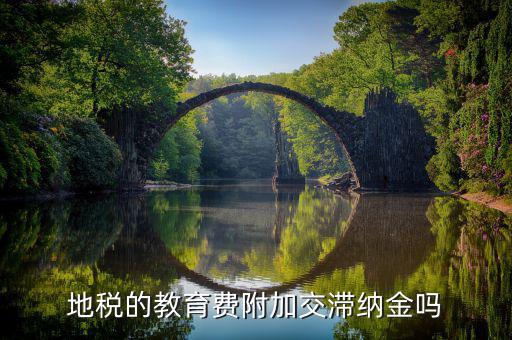教育費(fèi)附加為什么不用交滯納金，地稅的教育費(fèi)附加交滯納金嗎
