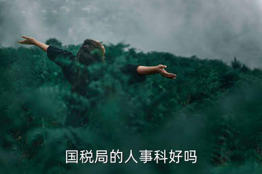 國稅人事科做什么，縣國稅局的人事歸哪里管基層分局的級(jí)別