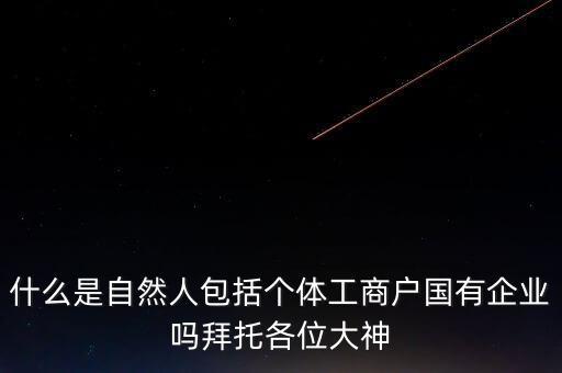 稅務(wù)上的自然人指的是什么，申請(qǐng)人為自然人的是什么意思