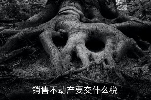 出售不動(dòng)產(chǎn) 交什么稅，銷(xiāo)售不動(dòng)產(chǎn)要交什么稅
