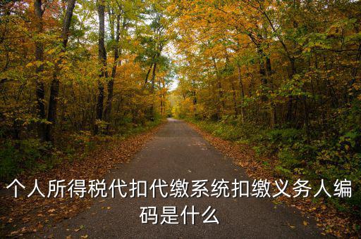 扣繳義務(wù) 填什么，請(qǐng)問扣繳義務(wù)人編碼是指什么呀