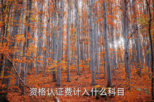 認(rèn)證服務(wù)費(fèi)什么，申請微信公眾賬號(hào)認(rèn)證服務(wù)費(fèi)什么意思