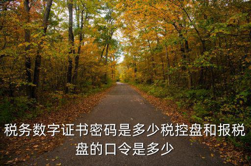 寧波國(guó)稅ca密碼是什么，寧波市電子稅務(wù)局登陸密碼