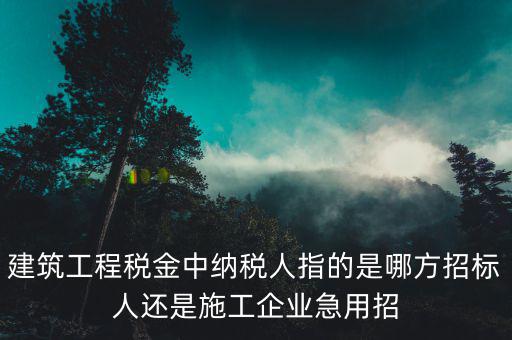 施工單位相關(guān)稅源是指什么，建筑業(yè)地稅稅源編號(hào)指的是啥