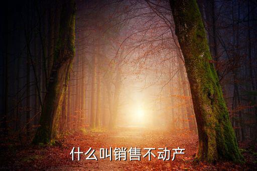 銷(xiāo)售不動(dòng)產(chǎn)構(gòu)筑物是什么，計(jì)算交納稅金時(shí)企業(yè)銷(xiāo)售房屋建筑物等不動(dòng)產(chǎn)按照稅法的有關(guān)