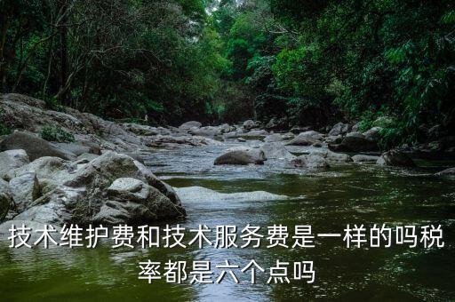 技術(shù)維護(hù)費和技術(shù)服務(wù)費是一樣的嗎稅率都是六個點嗎