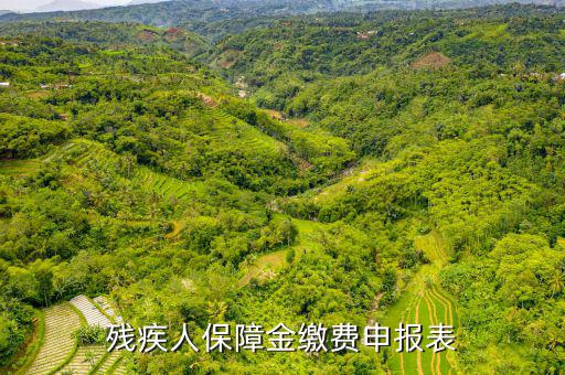 繳納殘疾人保障金 什么是104報表，什么叫104表