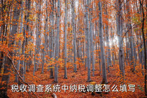稅收調(diào)查系統(tǒng)中納稅調(diào)整怎么填寫(xiě)