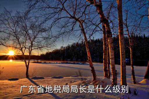 省稅務(wù)局局長(zhǎng)什么級(jí)別，廣東省地稅局局長(zhǎng)是什么級(jí)別