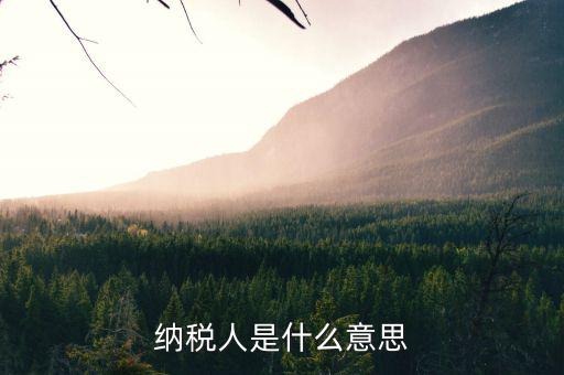 稅收人是什么意思，征稅人的含義