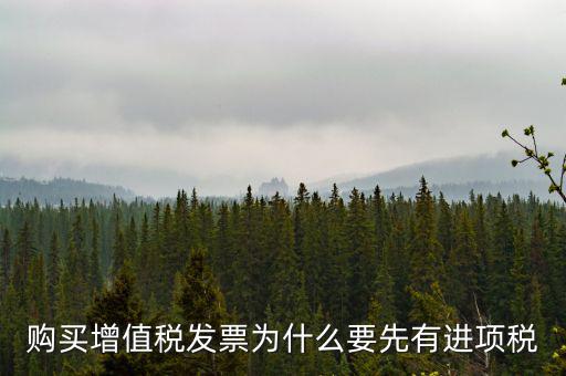 為什么要買進(jìn)項(xiàng)票，購(gòu)買增值稅發(fā)票為什么要先有進(jìn)項(xiàng)稅