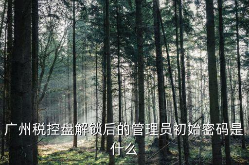 稅控盤管理員密碼是什么意思，廣州稅控盤解鎖后的管理員初始密碼是什么
