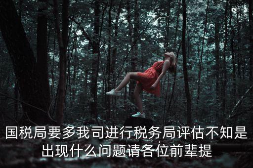 國稅評估局是干什么的，國稅局是做什么的說簡單點兒吧謝謝
