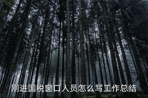 在國稅上班有什么感想，我是合同員工到國稅局上班一個(gè)月心得體會(huì)