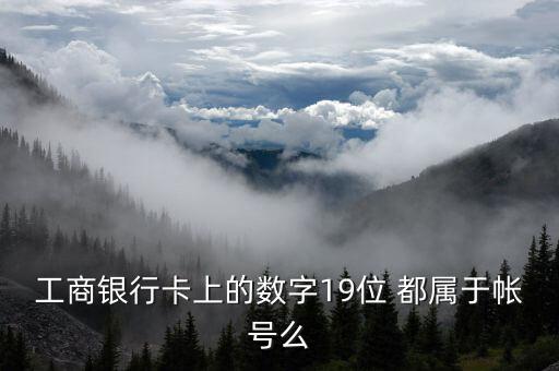 工行19位賬號應(yīng)用號是什么，請解釋工商銀行19位帳號的組成含義