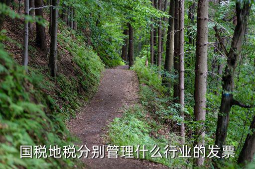 地稅涉及的行業(yè)都是什么，國稅地稅分別管理什么行業(yè)的發(fā)票