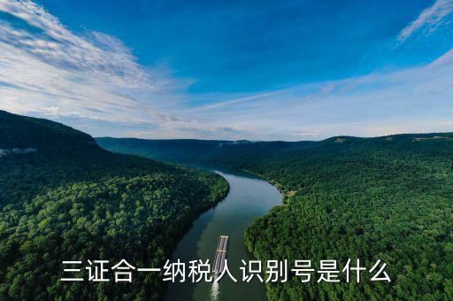 三證合一稅務(wù)識別號是什么，三證合一后納稅人識別號是什么意思