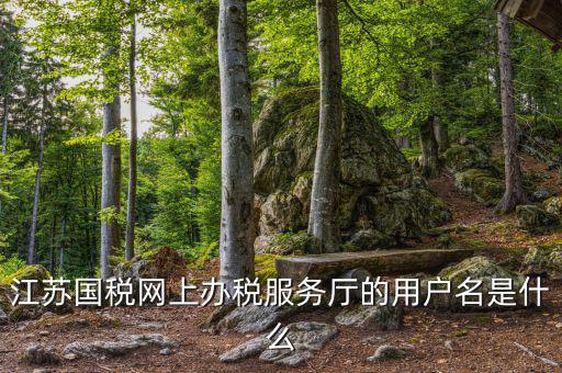 江蘇國(guó)稅用戶(hù)名密碼是什么意思，江蘇國(guó)稅網(wǎng)上辦稅服務(wù)廳的用戶(hù)名是什么