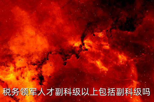 國稅領(lǐng)軍人才考什么用，稅務(wù)領(lǐng)軍人才副科級以上包括副科級嗎