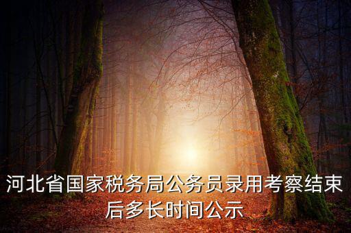 國稅一般什么時(shí)候公示，河北省國家稅務(wù)局公務(wù)員錄用考察結(jié)束后多長時(shí)間公示