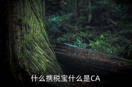 青島國(guó)稅ca證書是什么，什么攜稅寶什么是CA