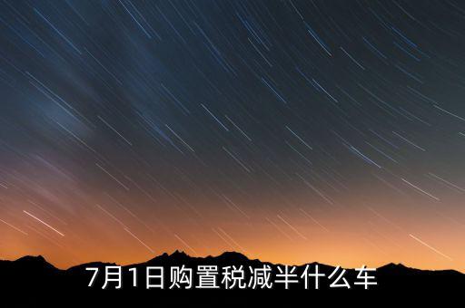 車稅減半針對(duì)什么車，101以后購車附加費(fèi)減半 包含哪些車型