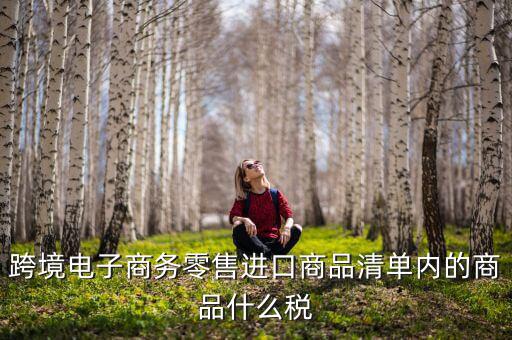 跨境電商應交什么稅，跨境電商要繳納哪些稅