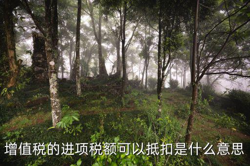進(jìn)項(xiàng)抵扣是什么，增值稅的進(jìn)項(xiàng)稅額可以抵扣是什么意思