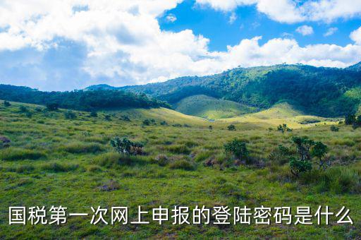浙江國(guó)稅登入密碼是什么意思，稅務(wù)局網(wǎng)站的登入賬戶初始密碼是什么