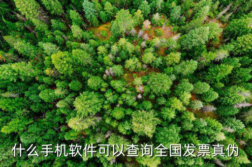 驗(yàn)發(fā)票真假什么軟件，請問有沒有學(xué)習(xí)增值稅防偽開票的模仿操作軟件