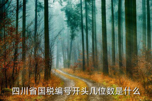 成都稅務(wù)號是什么單位，請問納稅人編碼是4419045002955是什么公司的